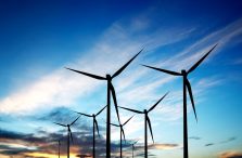 61 Per Cent Of SMEs Believe Green Recovery Is Good For Business
